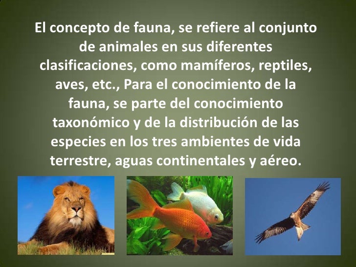 Fauna