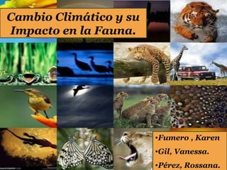 Cambio Climático y su
Impacto en la Fauna.




                        •Fumero , Karen
                        •Gil, Vanessa.
                        •Pérez, Rossana.
 