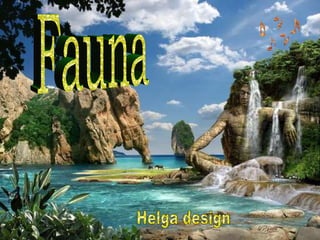 Fauna Helga design  