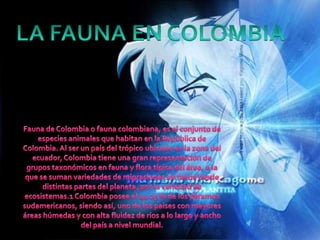Fauna