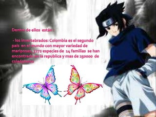 Fauna