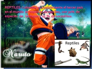 Fauna