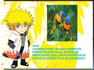 Fauna