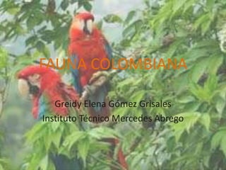 FAUNA COLOMBIANA
Greidy Elena Gómez Grisales
Instituto Técnico Mercedes Abrego

 