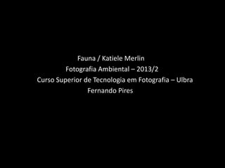 Fauna / Katiele Merlin
Fotografia Ambiental – 2013/2
Curso Superior de Tecnologia em Fotografia – Ulbra
Fernando Pires

 