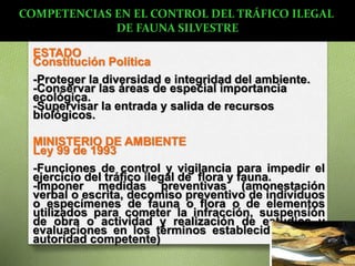ESTADO
Constitución Política
-Proteger la diversidad e integridad del ambiente.
-Conservar las áreas de especial importancia
ecológica.
-Supervisar la entrada y salida de recursos
biológicos.
MINISTERIO DE AMBIENTE
Ley 99 de 1993
-Funciones de control y vigilancia para impedir el
ejercicio del tráfico ilegal de flora y fauna.
-Imponer medidas preventivas (amonestación
verbal o escrita, decomiso preventivo de individuos
o especímenes de fauna o flora o de elementos
utilizados para cometer la infracción, suspensión
de obra o actividad y realización de estudios y
evaluaciones en los términos establecidos por la
autoridad competente)
COMPETENCIAS EN EL CONTROL DEL TRÁFICO ILEGAL
DE FAUNA SILVESTRE
 