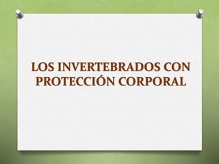 LOS INVERTEBRADOS CON
PROTECCIÓN CORPORAL
 