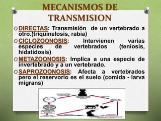 MECANISMOS DE
TRANSMISION
O DIRECTAS: Transmisión de un vertebrado a
otro.(triquinelosis, rabia)
O CICLOZOONOSIS: Intervienen varias
especies de vertebrados (teniosis,
hidatidosis)
O METAZOONOSIS: Implica a una especie de
invertebrado y a un vertebrado.
O SAPROZOONOSIS: Afecta a vertebrados
pero el reservorio es el suelo (comida - larva
migrans)
 