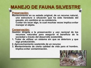 Preservación:
Mantenimiento en su estado original, de un recurso natural,
una estructura o situación que ha sido heredada del
pasado, sin cambios en su existencia.
Cuidar sin tocar algo, lo cual muchas veces implica evitar
manejar el objeto.
Conservación:
Gestión dirigida a la preservación y uso racional de los
recursos naturales para asegurar el beneficio de la
sociedad a través del desarrollo sostenible.
1. Tratar de utilizar un sistema sin que se deteriore y que
siga produciendo.
2. Aprovechamiento sostenido de un recurso
3. Mantenimiento de cierta calidad de vida para el hombre.
Implica evitar contaminación.
MANEJO DE FAUNA SILVESTRE
 