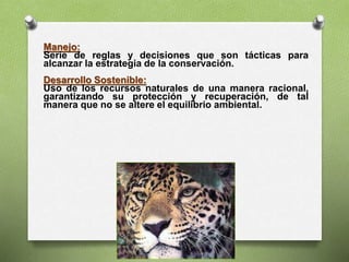 Manejo:
Serie de reglas y decisiones que son tácticas para
alcanzar la estrategia de la conservación.
Desarrollo Sostenible:
Uso de los recursos naturales de una manera racional,
garantizando su protección y recuperación, de tal
manera que no se altere el equilibrio ambiental.
 