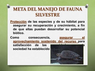 META DEL MANEJO DE FAUNA
SILVESTRE
Protección de las especies y de su hábitat para
asegurar su recuperación y crecimiento, a fin
de que ellas puedan desarrollar su potencial
biótico.
Como consecuencia, asegurar el
aprovechamiento sostenido del recurso para
satisfacción de las necesidades que la
sociedad ha establecido para él.
 