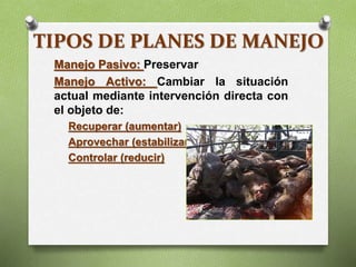 TIPOS DE PLANES DE MANEJO
Manejo Pasivo: Preservar
Manejo Activo: Cambiar la situación
actual mediante intervención directa con
el objeto de:
Recuperar (aumentar)
Aprovechar (estabilizar)
Controlar (reducir)
 