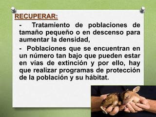 RECUPERAR:
- Tratamiento de poblaciones de
tamaño pequeño o en descenso para
aumentar la densidad,
- Poblaciones que se encuentran en
un número tan bajo que pueden estar
en vías de extinción y por ello, hay
que realizar programas de protección
de la población y su hábitat.
 