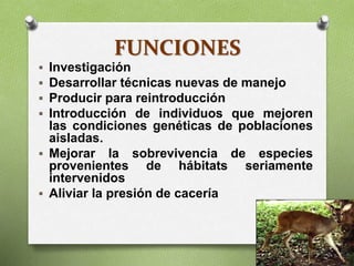 FUNCIONES
 Investigación
 Desarrollar técnicas nuevas de manejo
 Producir para reintroducción
 Introducción de individuos que mejoren
las condiciones genéticas de poblaciones
aisladas.
 Mejorar la sobrevivencia de especies
provenientes de hábitats seriamente
intervenidos
 Aliviar la presión de cacería
 