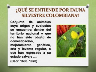 ¿QUÉ SE ENTIENDE POR FAUNA
SILVESTRE COLOMBIANA?
Conjunto de animales
cuyo origen y evolución
se encuentra dentro del
territorio nacional y que
no han sido objeto de
domesticación,
mejoramiento genético,
cría y levante regular, o
que han regresado a su
estado salvaje ….
(Decr. 1608. 1978)
 