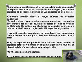 Colombia es posiblemente el tercer país del mundo en especies
de reptiles, con el 30 % de las especies de tortugas y 25 % de las
especies de cocodrilos, además de 222 especies de serpientes.
Colombia también tiene el mayor número de especies
endémicas
(Se aplica al ser vivo que solamente se encuentra en una región
determinada)con casi el 10% de las especies del mundo viviendo
en Colombia. Se estima que el número de especies de aves en el
país es de 1885, con un registro de 197 especies migratorias.
Hay 456 especies reportadas de mamíferos que posiciona a
Colombia en el cuarto lugar a nivel mundial en diversidad de esta
clase.
Hay 30 especies de primates en Colombia. Este número de
especies coloca a Colombia en el quinto lugar a nivel mundial en
diversidad de números de especies de primates.
4800 especies de himenópteros
… y muchas mas especies aún están por descubrir.
 