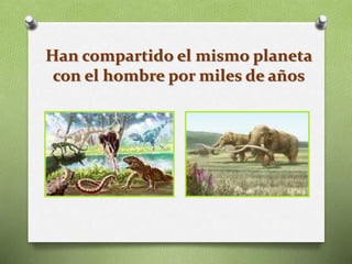 Han compartido el mismo planeta
con el hombre por miles de años
 