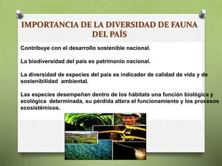 IMPORTANCIA DE LA DIVERSIDAD DE FAUNA
DEL PAÍS
Contribuye con el desarrollo sostenible nacional.
La biodiversidad del país es patrimonio nacional.
La diversidad de especies del país es indicador de calidad de vida y de
sostenibilidad ambiental.
Las especies desempeñan dentro de los hábitats una función biológica y
ecológica determinada, su pérdida altera el funcionamiento y los procesos
ecosistémicos.
 