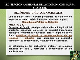 REGÍMENES JURÍDICOS NACIONALES
Con el fin de limitar y evitar problemas de extinción de
especies se han expedido diferentes normas en el país:
Constitución Política de Colombia
Arts. 8, 79 y 80
Es deber del Estado proteger la diversidad e integridad del
ambiente, conservar las áreas de especial importancia
ecológica, fomentar la educación para el logro de estos
fines, planificar el manejo y aprovechamiento de los
recursos naturales para garantizar su desarrollo
sostenible, su conservación, restauración o sustitución.
Es obligación de los particulares proteger los recursos
naturales del país y velar por la conservación de un
ambiente sano.
LEGISLACIÓN AMBIENTAL RELACIONADA CON FAUNA
SILVESTRE
 