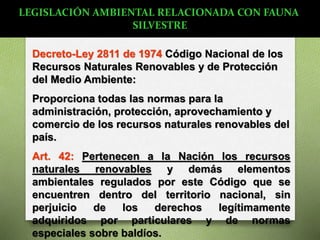 Decreto-Ley 2811 de 1974 Código Nacional de los
Recursos Naturales Renovables y de Protección
del Medio Ambiente:
Proporciona todas las normas para la
administración, protección, aprovechamiento y
comercio de los recursos naturales renovables del
país.
Art. 42: Pertenecen a la Nación los recursos
naturales renovables y demás elementos
ambientales regulados por este Código que se
encuentren dentro del territorio nacional, sin
perjuicio de los derechos legítimamente
adquiridos por particulares y de normas
especiales sobre baldíos.
LEGISLACIÓN AMBIENTAL RELACIONADA CON FAUNA
SILVESTRE
 