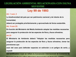 Ley 99 de 1993
Art. 1 num. 2
La biodiversidad del país por ser patrimonio nacional y de interés de la
humanidad,
deberá ser protegida prioritariamente y aprovechada de forma sostenible.
Art. 5 num 23:
Es función del Ministerio del Medio Ambiente adoptar las medidas necesarias
para asegurar la protección de las especies de flora y fauna silvestres.
Art 23
El Ministerio de Ambiente deberá "Adoptar las medidas necesarias para
asegurar la protección de las especies de flora y fauna silvestres, tomar las
previsiones que
sean del caso para defender especies en extinción o en peligro de serlo; y
expedir
los certificados a que se refiere la Convención Internacional de Comercio de
LEGISLACIÓN AMBIENTAL RELACIONADA CON FAUNA
SILVESTRE
 