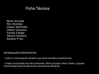 Ficha Técnica
Reino: Animalia
Filo: Chordata
Classe: Mammalia
Ordem: Carnivora
Família: Felidae
Género: Panthera
Espécie: P. leo
INFORMAÇÕES IMPORTANTES:
- Leão é o nome popular do felino cujo nome científico é panthera leo.
- O leão é encontrado em três continentes: África, Europa e Ásia. Porém, a grande
concentração atual de leão ocorre nas savanas africanas.
 