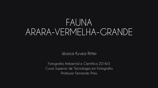 FAUNA
ARARA-VERMELHA-GRANDE
Jéssica Kyvea Ritter
Fotografia Ambiental e Científica 2016/2
Curso Superior de Tecnologia em Fotografia
Professor Fernando Pires
 