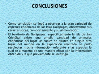 CONCLUSIONES
• Como conclusión se llegó a observar a la gran variedad de
especies endémicas de las Islas Galápagos, observamos sus
características, comportamiento y su alimentación.
• El territorio de Galápagos específicamente la isla de San
Cristóbal existe una amplia cantidad de animales
endémicas del lugar las cuales no existen en ningún otro
lugar del mundo en la expedición realizada se pudo
recolectar mucha información referente a las especies la
cual se almaceno de una manera eficaz con la información
obtenida y la que previamente se investigó.
 