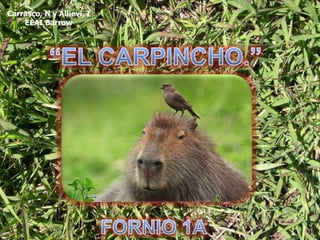 “EL CARPINCHO.” FORNIO 1A 