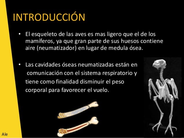 OSTEOLOGIA DE AVES EPUB OSTEOLOGIA DE AVES EPUB
