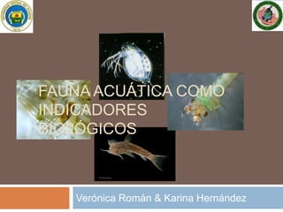 FAUNA ACUÁTICA COMO
INDICADORES
BIOLÓGICOS



   Verónica Román & Karina Hernández
 