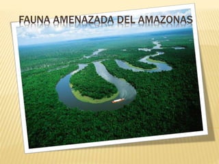 FAUNA AMENAZADA DEL AMAZONAS
 