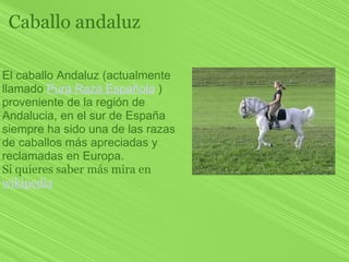 Caballo andaluz

El caballo Andaluz (actualmente
llamado Pura Raza Española )
proveniente de la región de
Andalucia, en el...