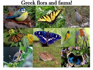 Fauna and flora of Greece