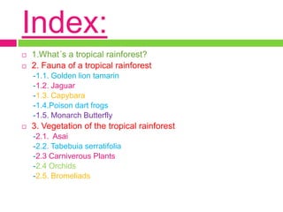 Fauna and vegetation of a tropical rainforest | PPTX