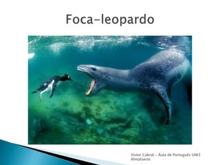 Victor Cabral - Áula de Português UNI3
Almafuerte
 