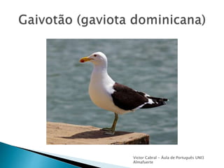 Victor Cabral - Áula de Português UNI3
Almafuerte
 