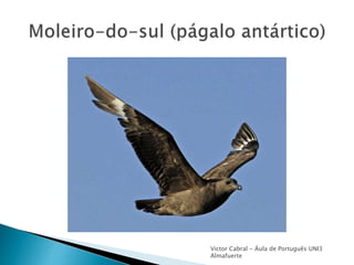 Victor Cabral - Áula de Português UNI3
Almafuerte
 