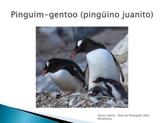 Victor Cabral - Áula de Português UNI3
Almafuerte
 