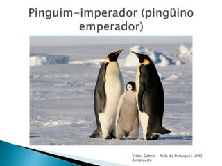 Victor Cabral - Áula de Português UNI3
Almafuerte
 