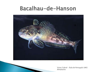 Victor Cabral - Áula de Português UNI3
Almafuerte
 