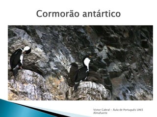 Victor Cabral - Áula de Português UNI3
Almafuerte
 