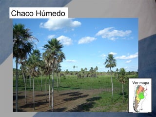 Chaco Húmedo
Ver mapa
 