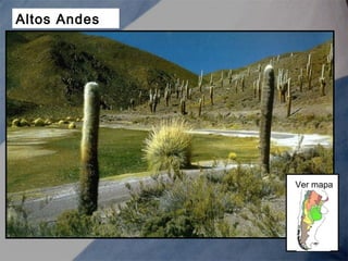 Altos Andes
Ver mapa
 