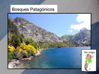 Bosques Patagónicos
Ver mapa
 