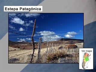 Estepa Patagónica
Ver mapa
 
