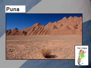 Puna
Ver mapa
 