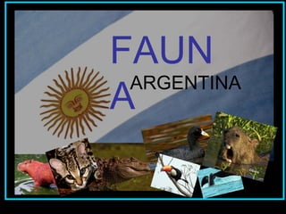 FAUN
A
ARGENTINA
 