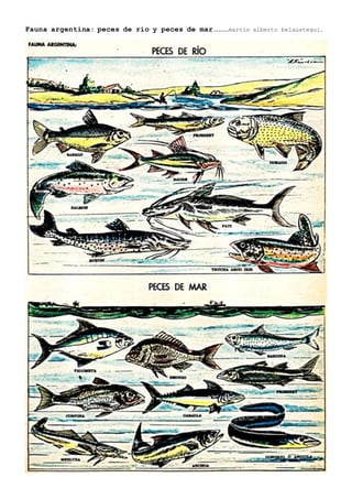 Fauna argentina: peces de río y peces de mar……….martìn alberto belaustegui.
 