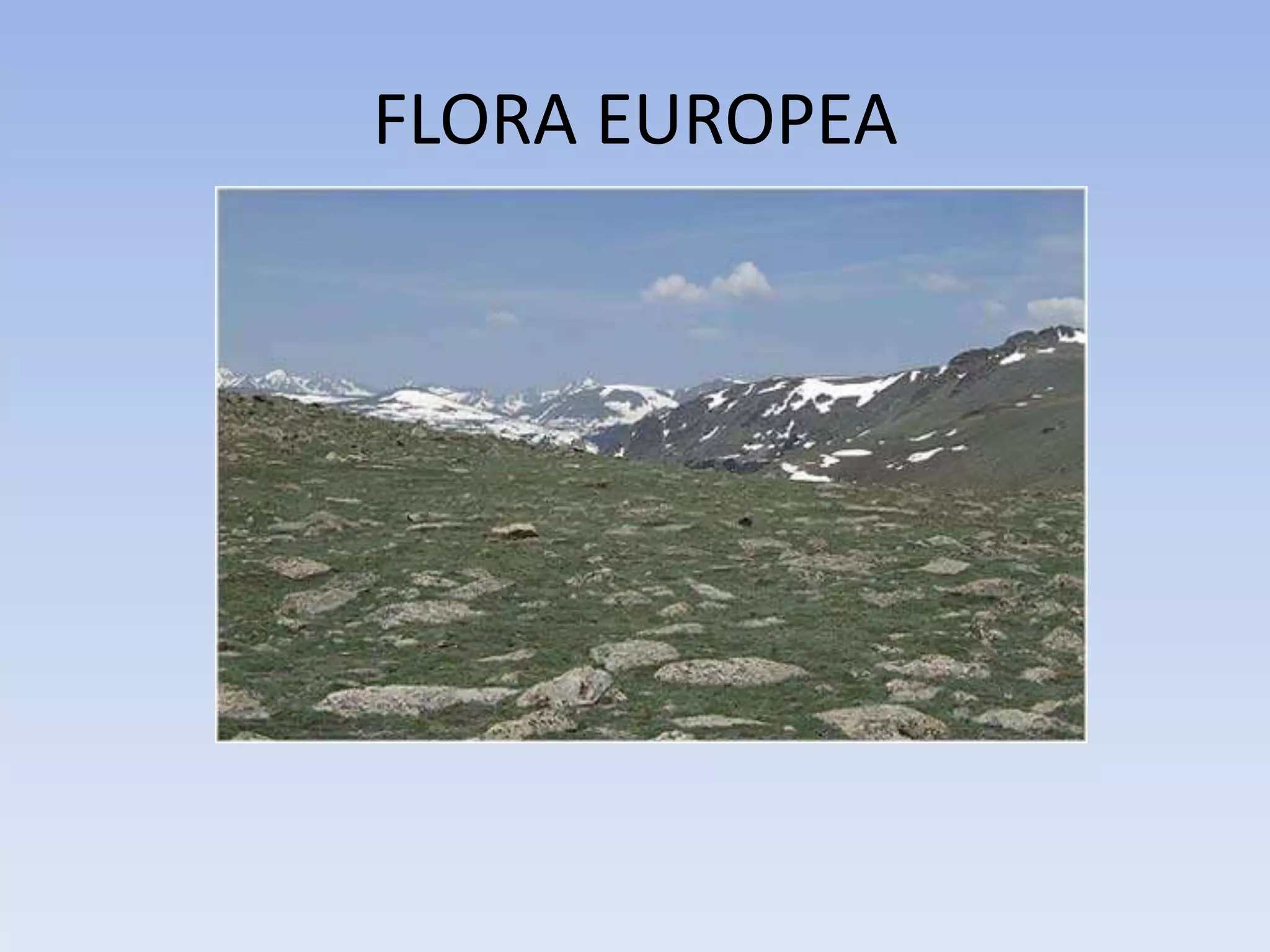 FLORA EUROPEA